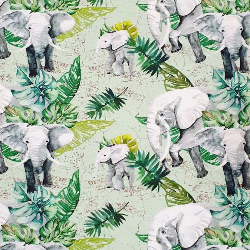 Dětské krátké kraťasy, sloní stezka