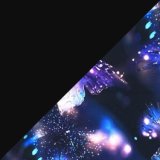 Kouzelní motýlci-černá