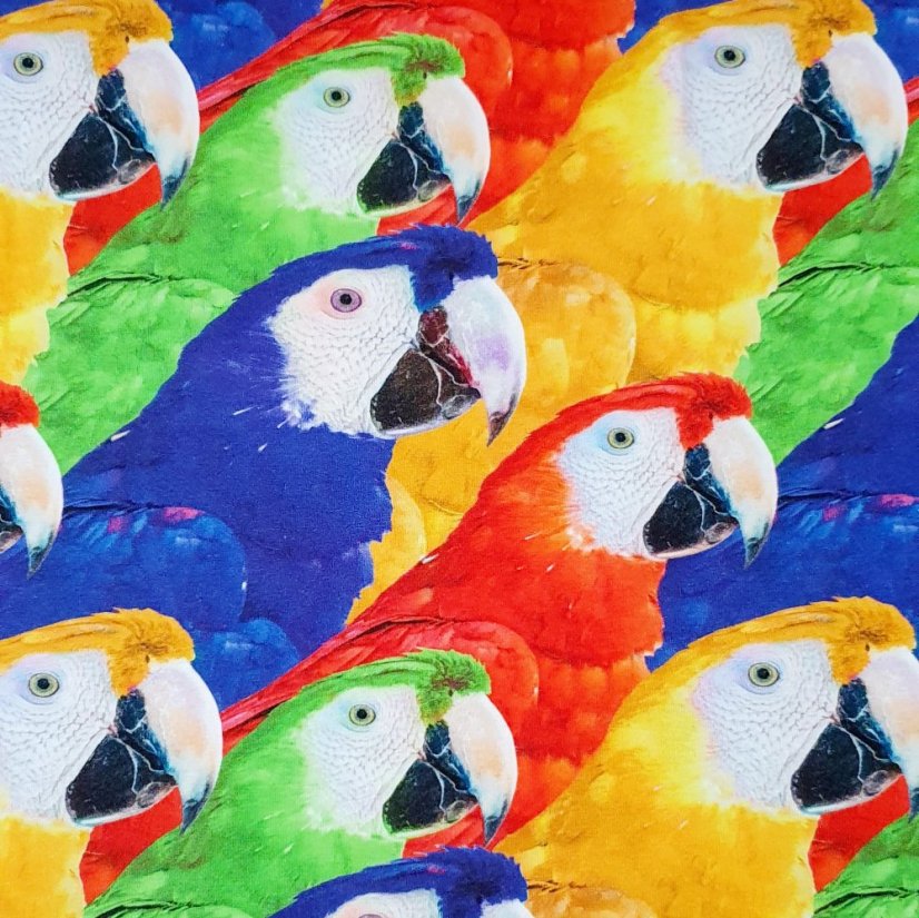 Dámské tričko, velcí papoušci krátký rukáv