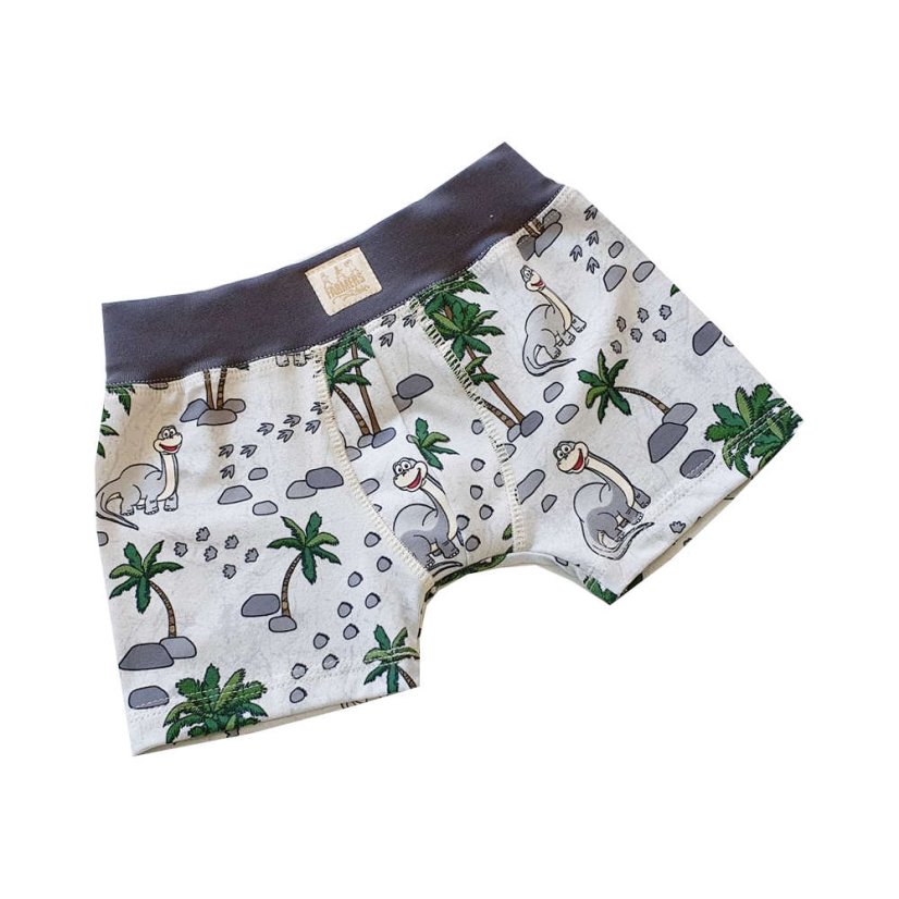 Dětské boxerky DINO 4