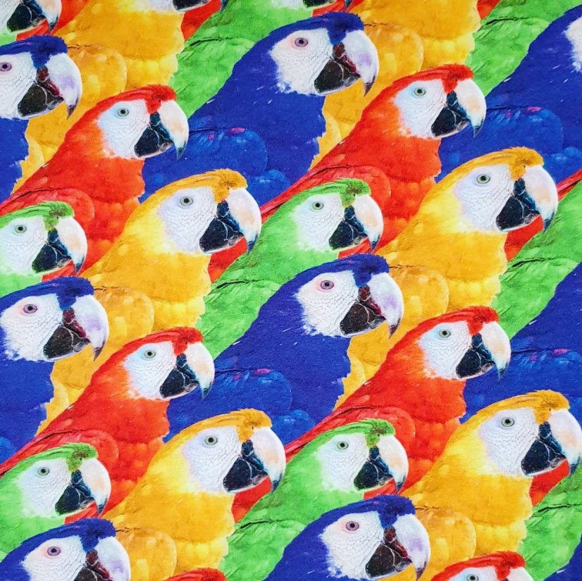 Dětské krátké kraťasy, papoušci