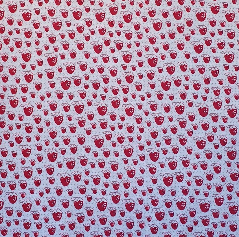 Šortky STRAWBERRY krátke