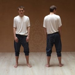 Pánské 3/4 harémové kalhoty SATYAM šedé (Velikost XL pánské)
