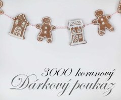 darkovypoukaz3000