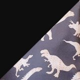 Prehistorie-černá