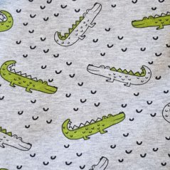 crocodile crocodile