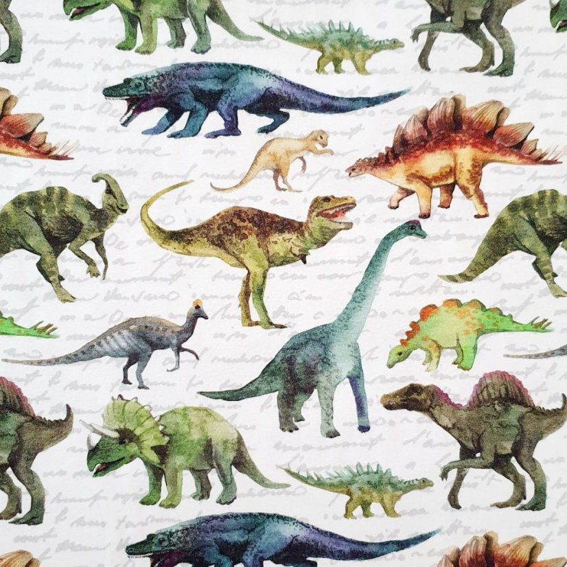 Dětské krátké kraťasy, dino svět