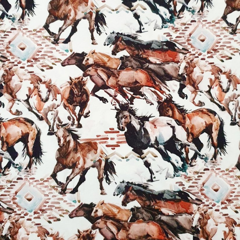 Krátké kraťasy DIGI HORSE