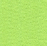 Zelené kiwi