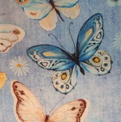 Šaty DIGI JEANS BUTTERFLY