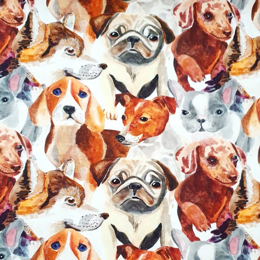 Krátké kraťasy DIGI BIG DOGS