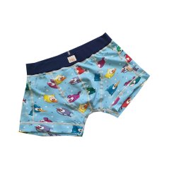 panskeboxerky05