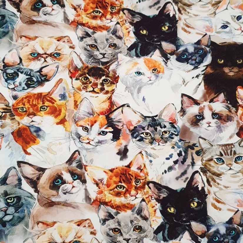 Dětské krátké kraťasy, kočičí oči