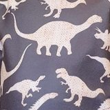 Prehistorie